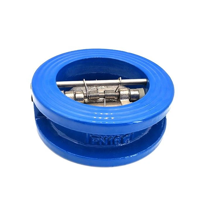 Dual Plate Check Valve